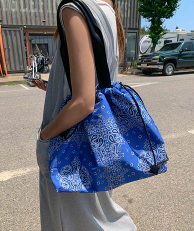 ame paisley bag