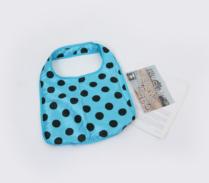 Mint Dot Nylon Reversible Eco Bag