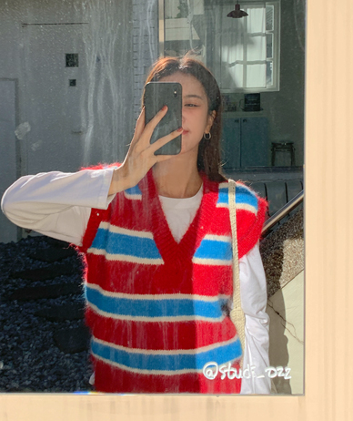 Collie color combination Knit Vest