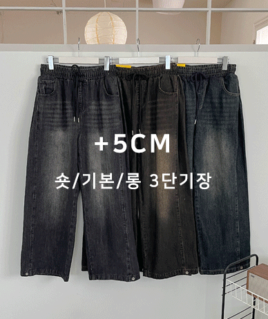 Arty Snap Pintuck Banding Denim Wide Pants (Short/Basic/Longver)